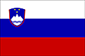 SVN