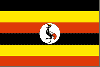 UGA